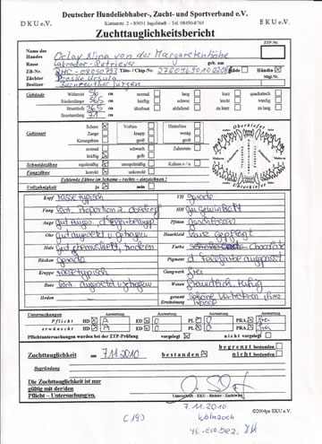Bericht
