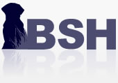 BSH